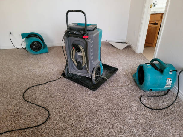 Best Commercial water damage restoration  in Shiloh, PA
