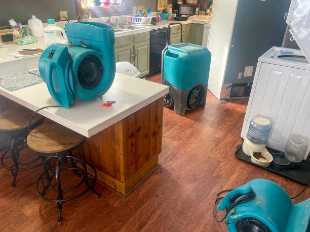Water damage restoration insurance claims in Shiloh, PA