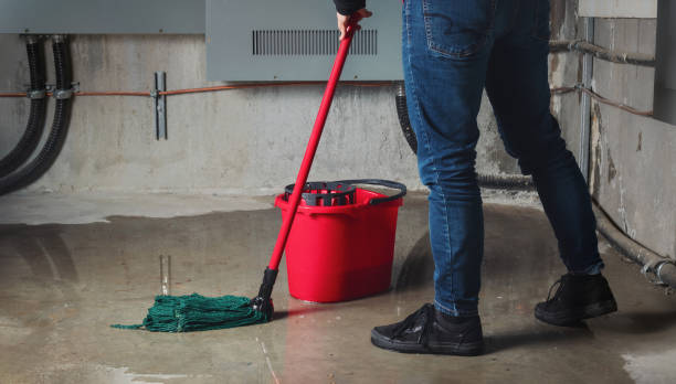 Best Flood restoration services  in Shiloh, PA