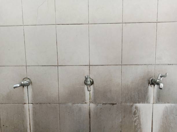 Best Sewage cleanup and water damage restoration  in Shiloh, PA