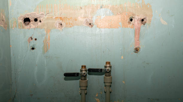 Best Flooded house restoration  in Shiloh, PA