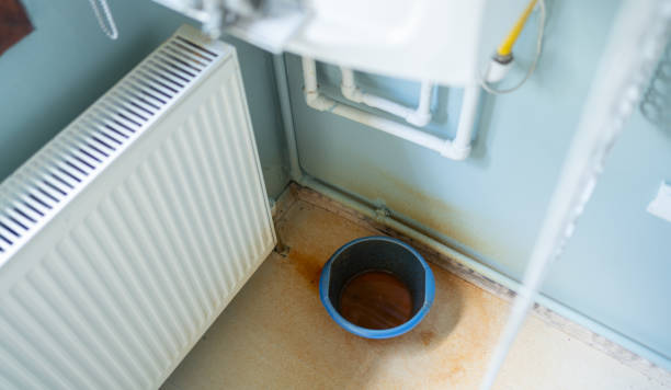 Best Water damage contractors near me  in Shiloh, PA