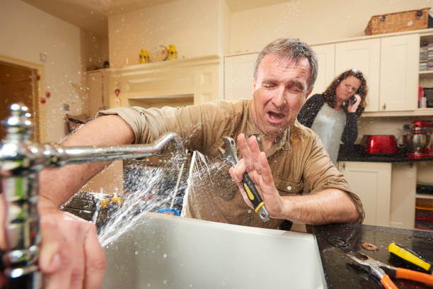 Best 24-hour water damage restoration  in Shiloh, PA